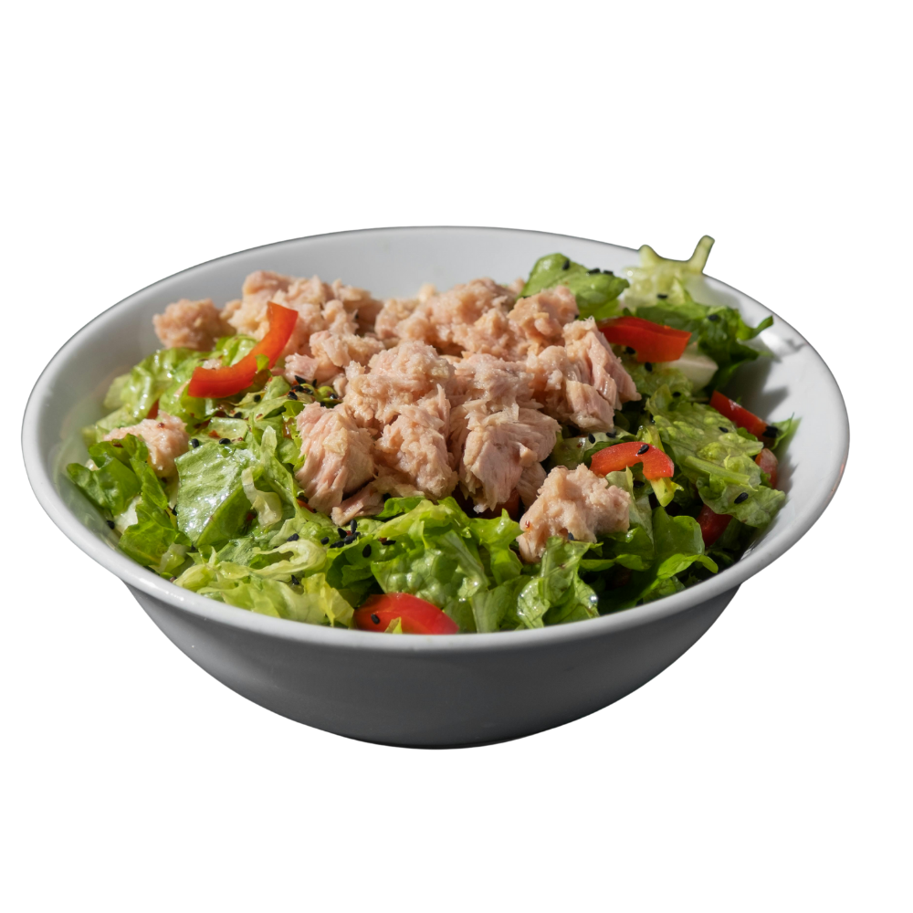 Ton Balıklı Salata